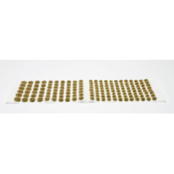 Paint Forge Parched Land 2mm 162 szt