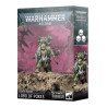 WH40K: Death Guard Lord of Poxes