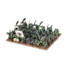 TOW: ORC & GOBLIN TRIBES ORC BOYZ MOB