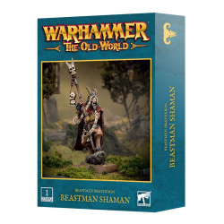 TOW: Beastmen Brayherds BEASTMAN SHAMAN