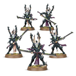 WH40K: DRUKHARI INCUBI