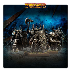 TOW: WARRIORS OF CHAOS: CHAOS WARRIORS
