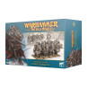 TOW: WARRIORS OF CHAOS: CHAOS KNIGHTS