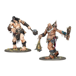AGE OF SIGMAR: BRAWLERS OF BEHEMAT (ENG)