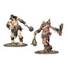 AGE OF SIGMAR: BRAWLERS OF BEHEMAT (ENG)