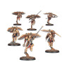 CUSTODES: VENATARI SODALITY