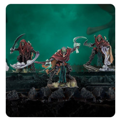 AoS: Mortis Reapers