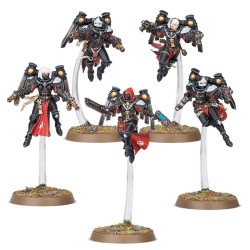 WH40K: Adepta Sororitas: Seraphim Squad