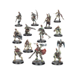 WH40K: COMBAT PATROL: KROOT