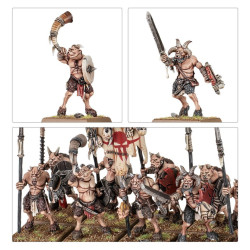TOW: Beastmen Brayherds Battalion