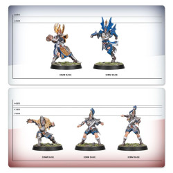 BLOOD BOWL: HIGH ELF BLOOD BOWL TEAM