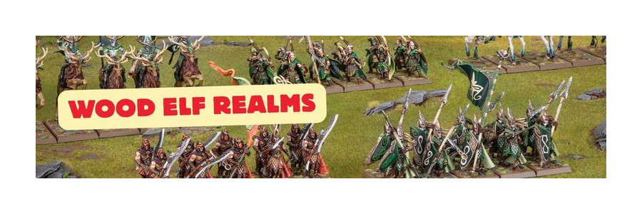 TOW: Wood Elf Realms